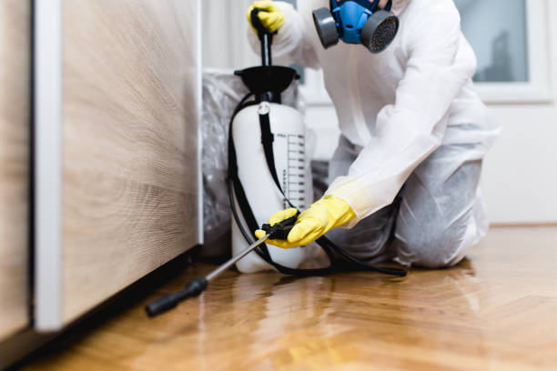 Best Best Pest Control Near Me  in Guerneville, CA