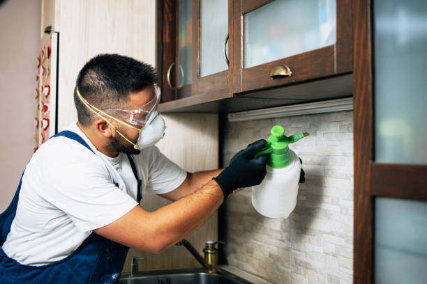 Insect Control in Guerneville, CA