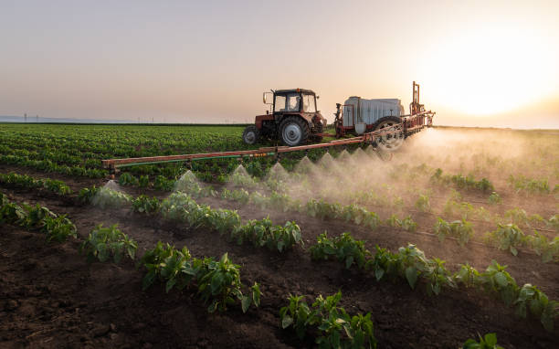 Best Commercial Pest Control Services  in Guerneville, CA