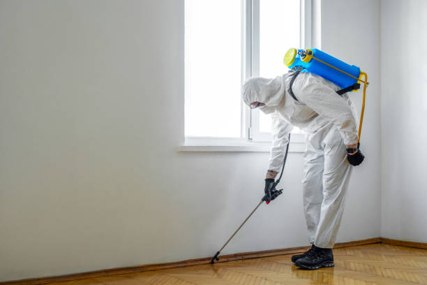 Best Cockroach Control Services  in Guerneville, CA