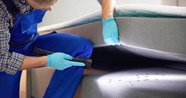 Best Wasp Removal Services  in Guerneville, CA